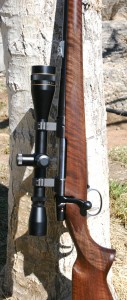 rifle and scope