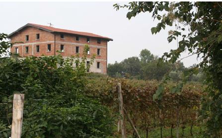 An abandoned home sits among the dense, fruitful vegetation.